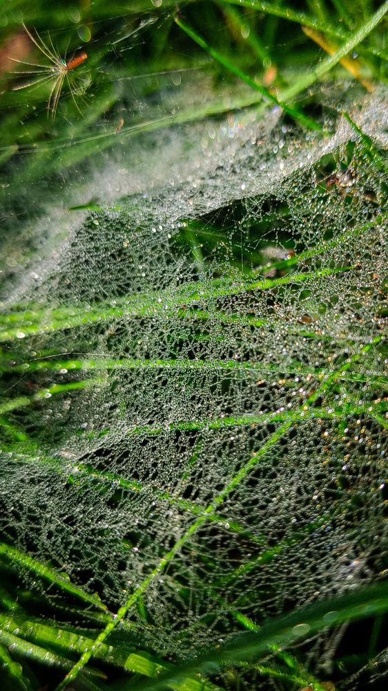 Photograph by Евгения Гродинская