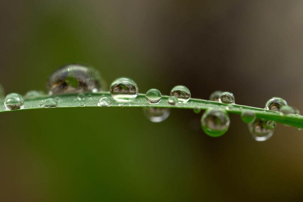 Фотография автора Dana Korolkova