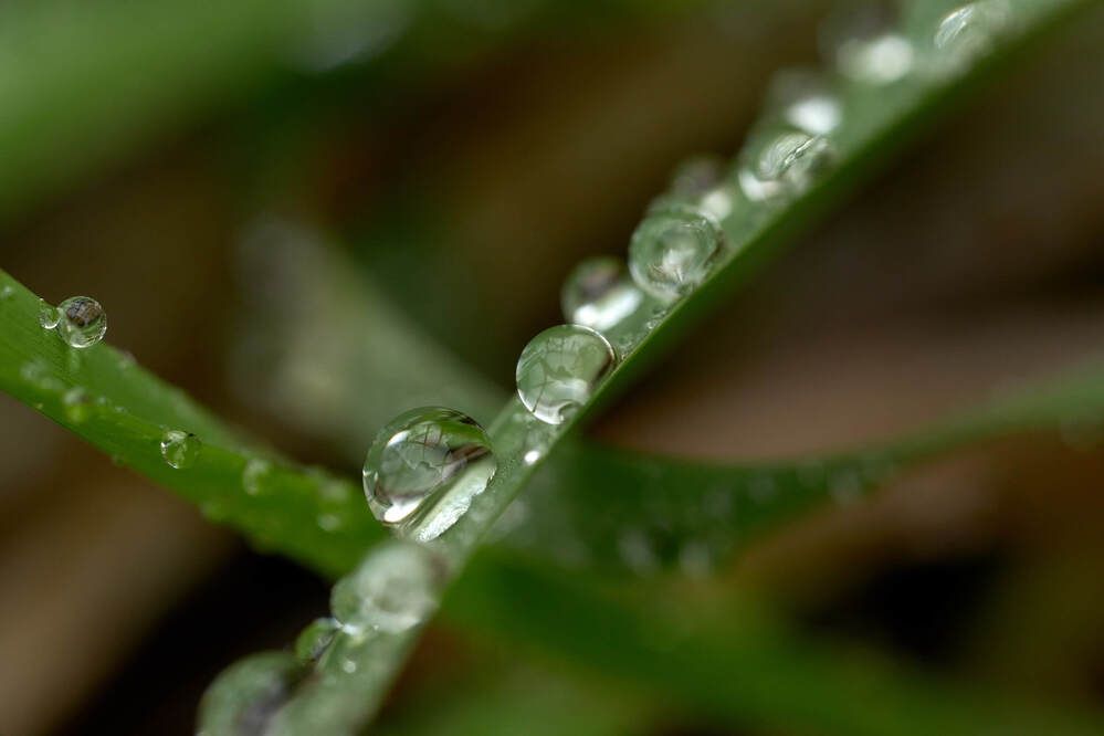 Фотография автора Dana Korolkova