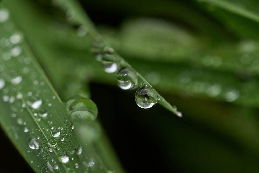 Фотография автора Dana Korolkova