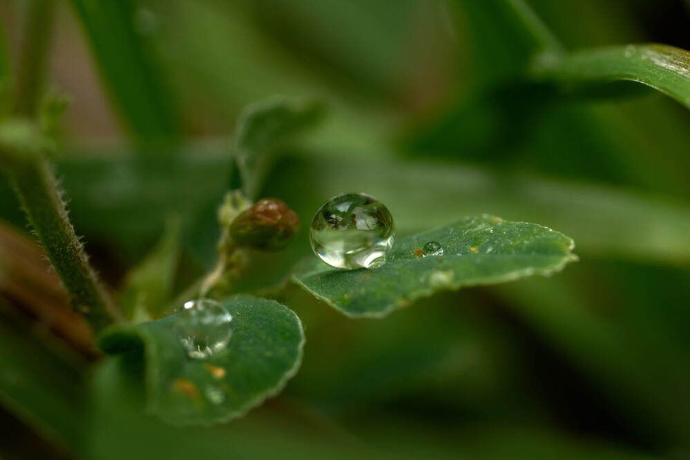 Фотография автора Dana Korolkova