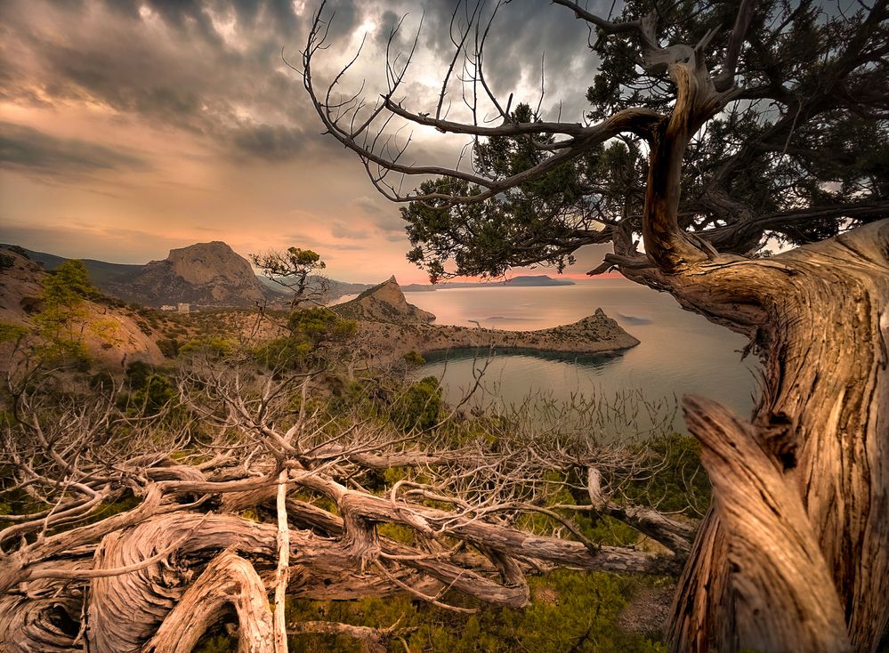 Photograph by Александр Разумов