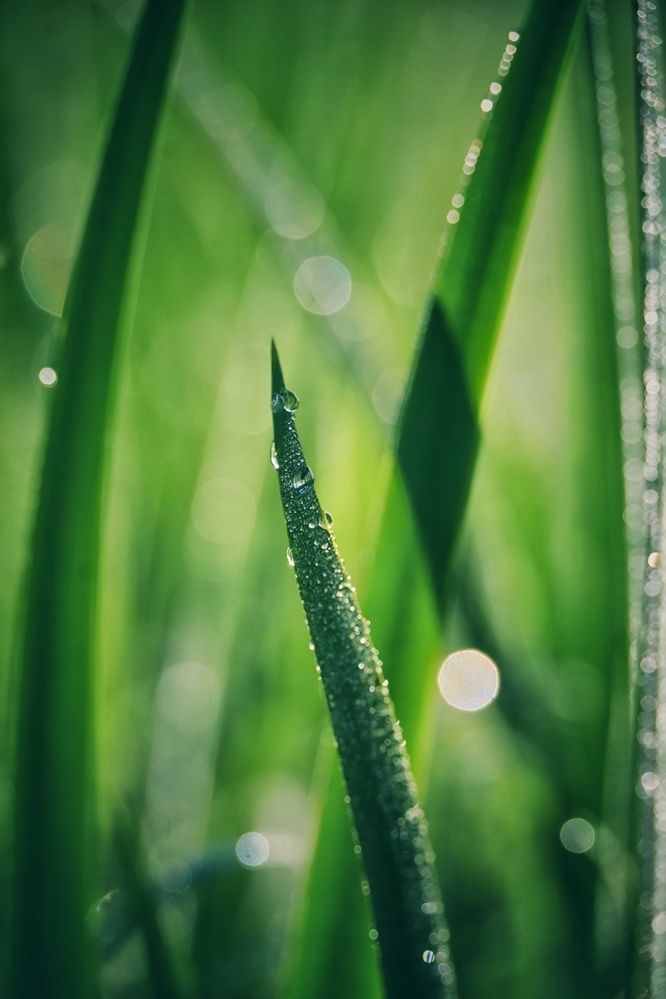 Photograph by Stella Szpinek