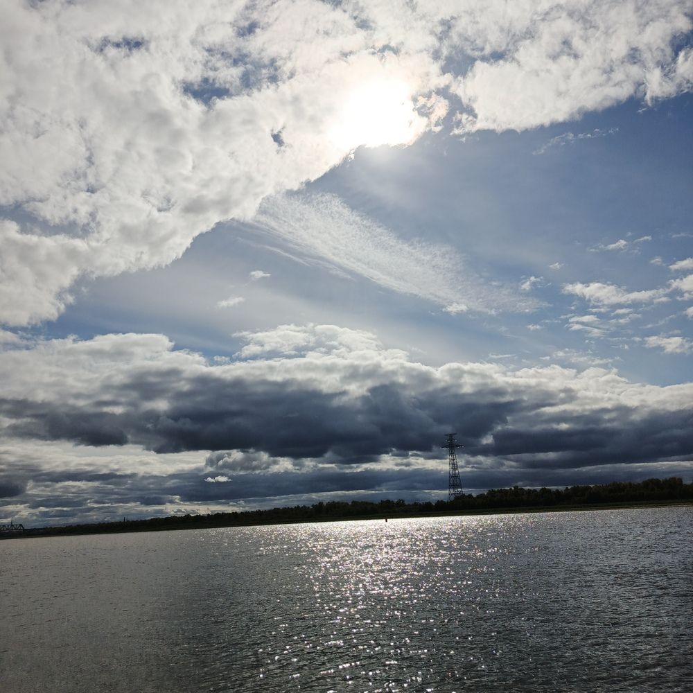 Photo #12579737