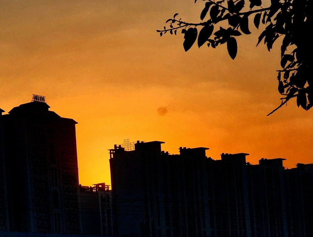 Photograph by G GOVIL