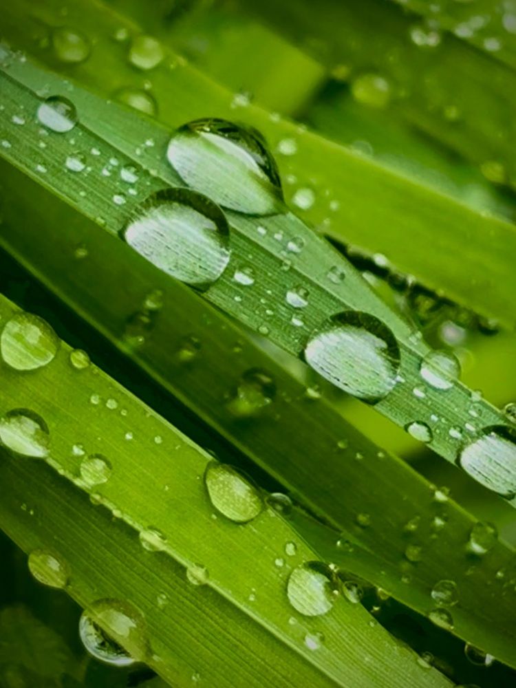 Photograph by Елена Громова