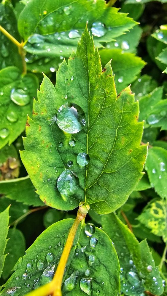 Photograph by Алексей Новиков