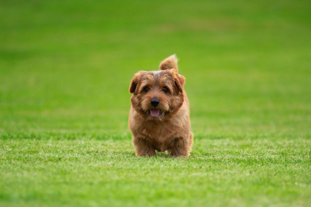 Фотография автора Polina