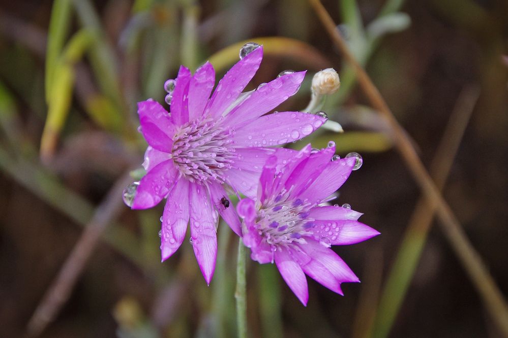 Photograph by Елена Щитова