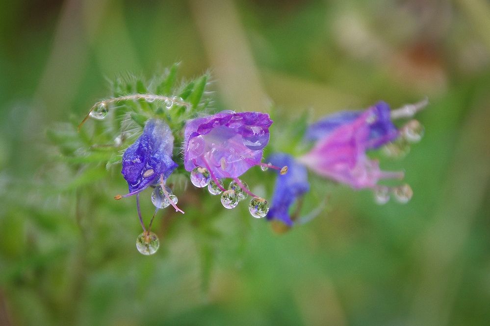 Photograph by Елена Щитова