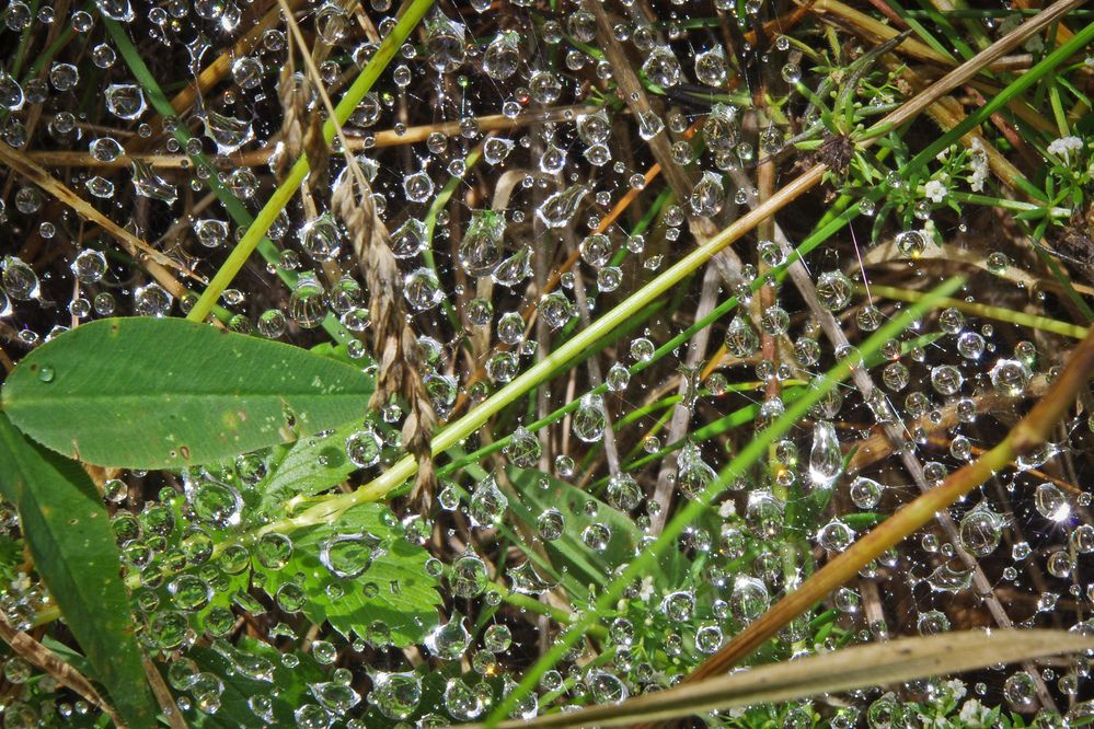 Photograph by Елена Щитова