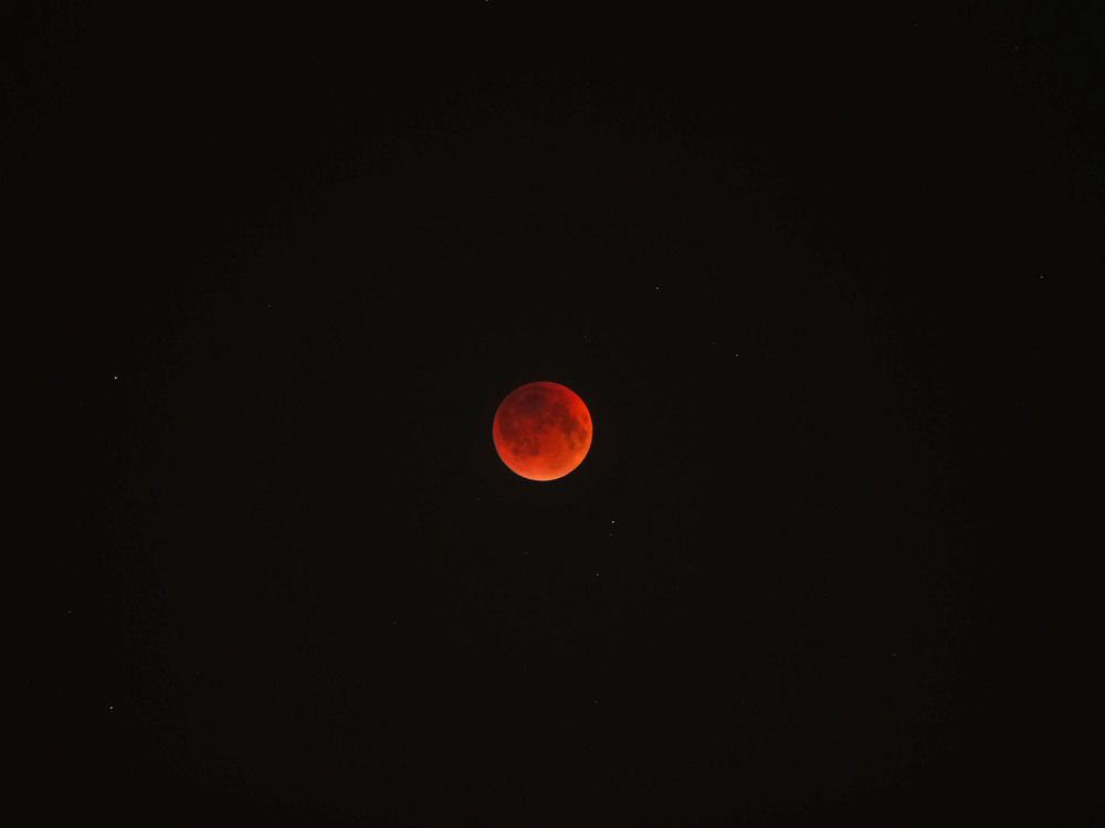 Photograph by Полина Ишкина