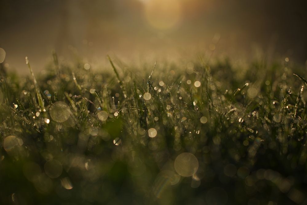 Photograph by Яна Егорова