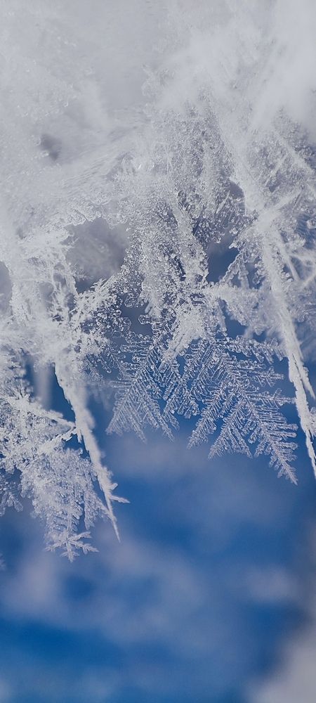 Photo #12579836