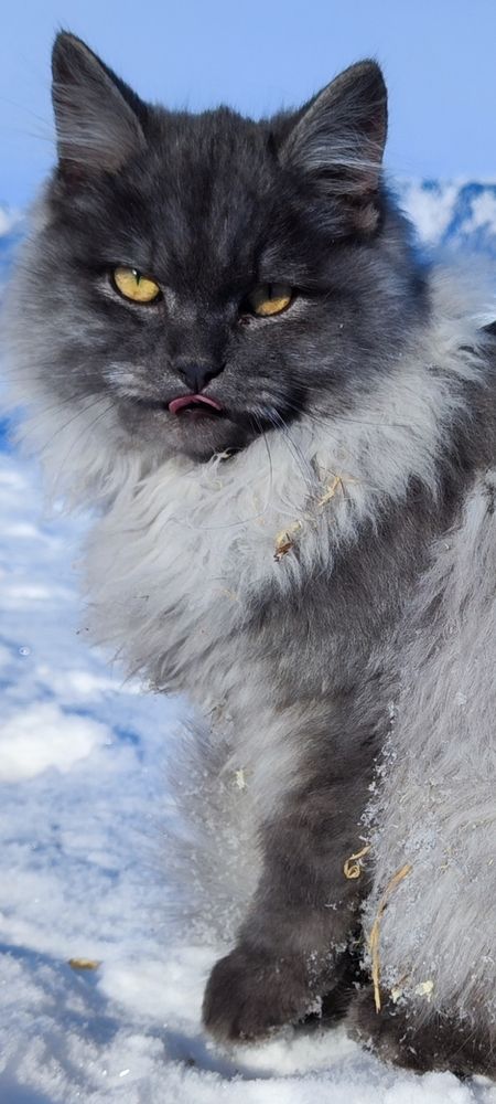 Photograph by Юлия Золотухина