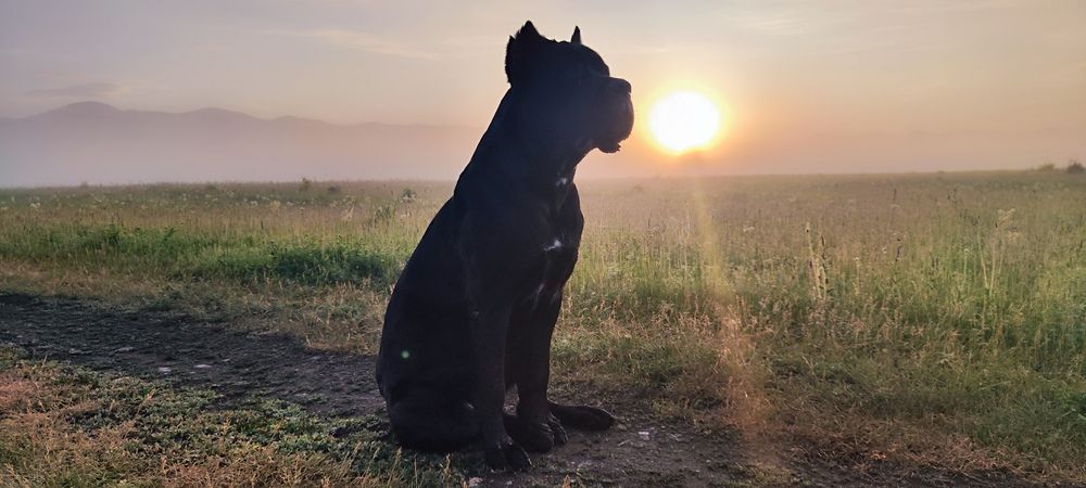 Photograph by Юлия Золотухина