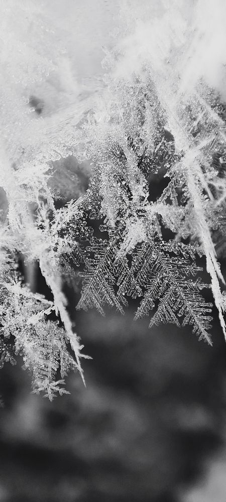 Photo #12579844
