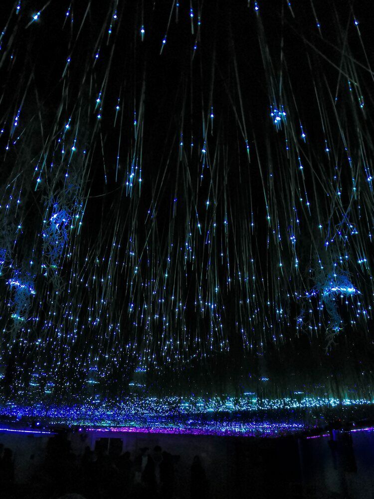 Photograph by Сергей Ведерников