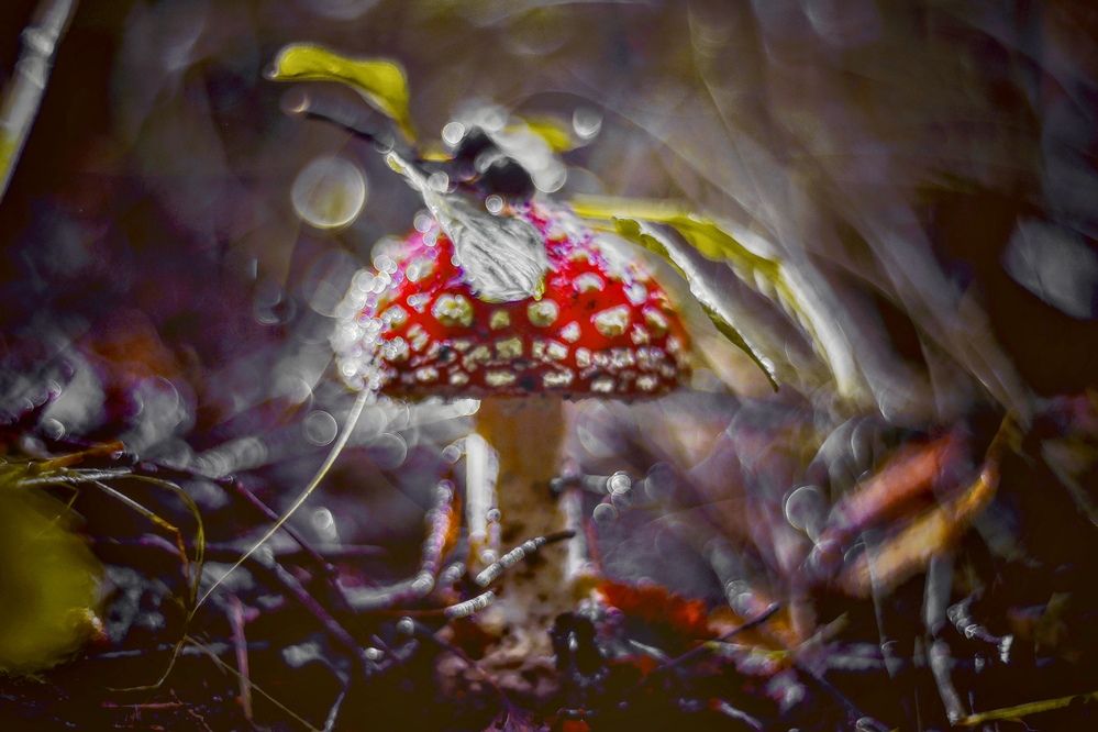 Photograph by Яна Егорова