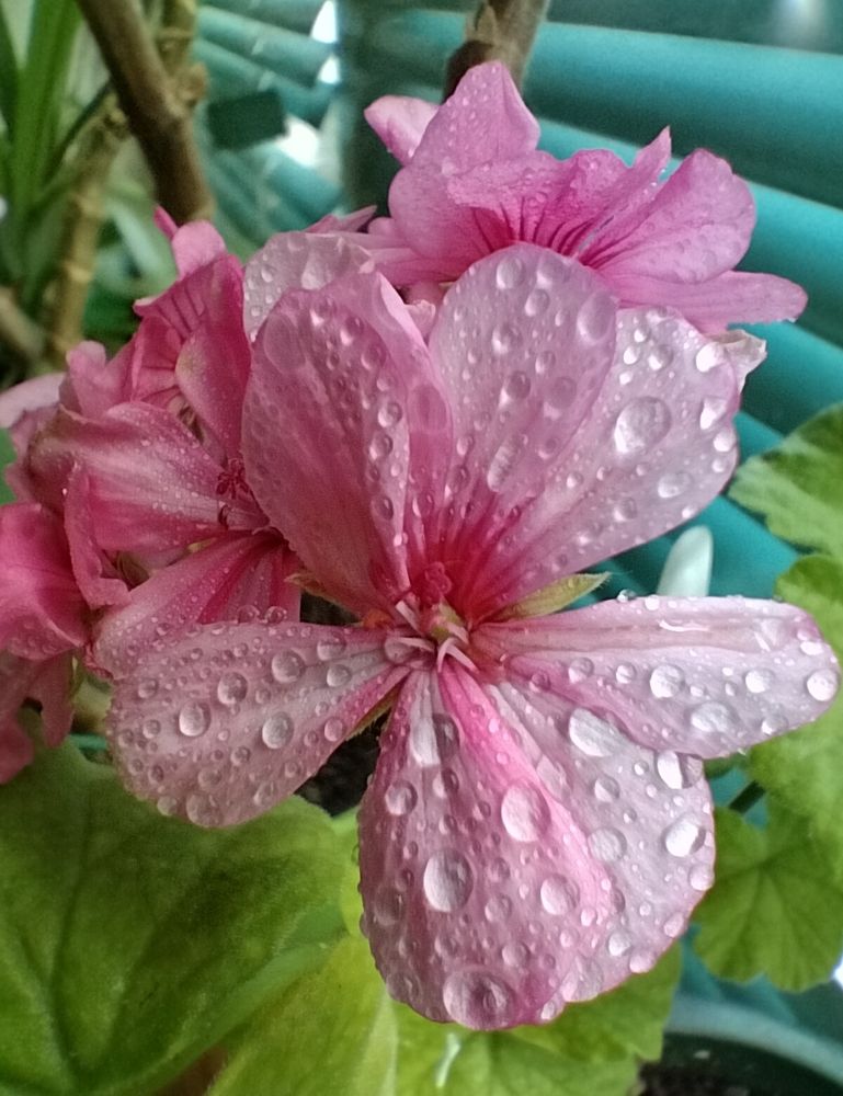 Фотография автора Наталья Драгун