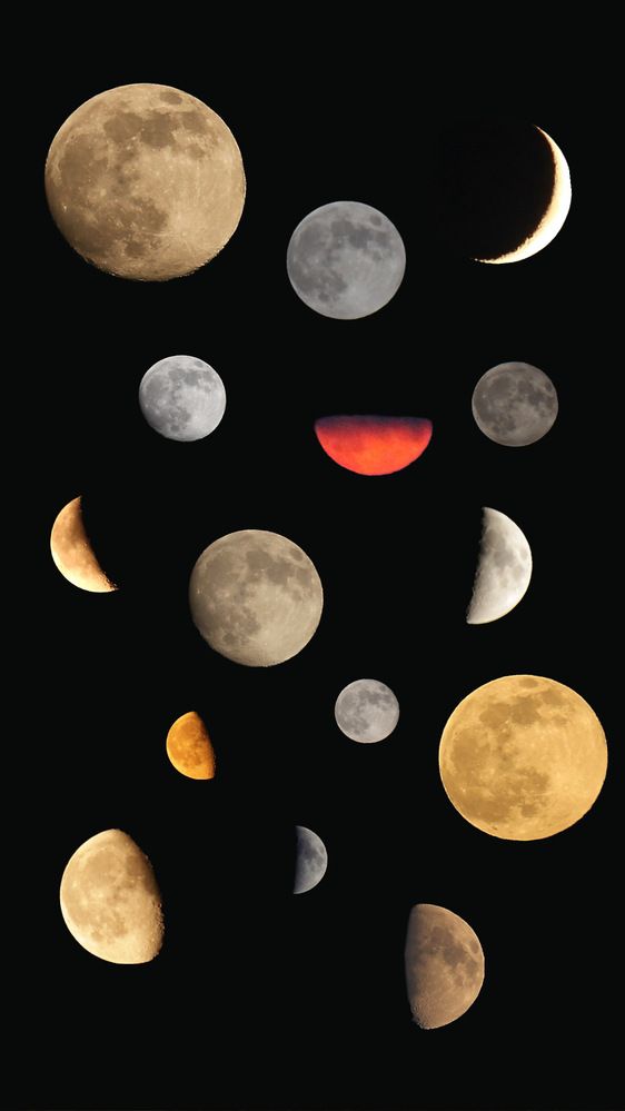 Фотография автора Polina