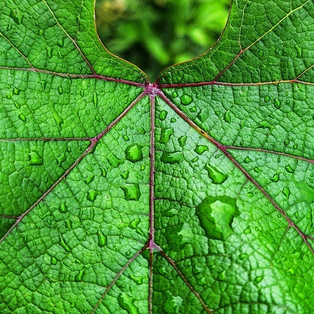 Фотография автора Татьяна Сякина