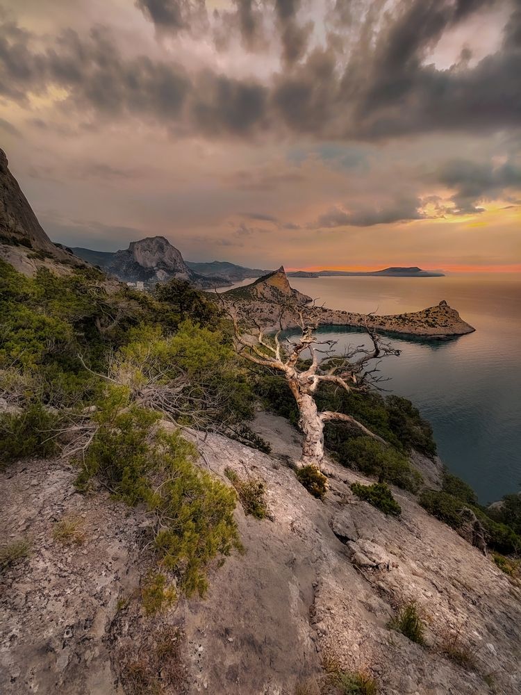 Photograph by Александр Разумов