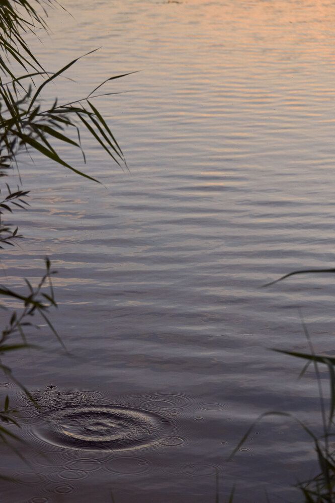 Photograph by Александр Лиманский