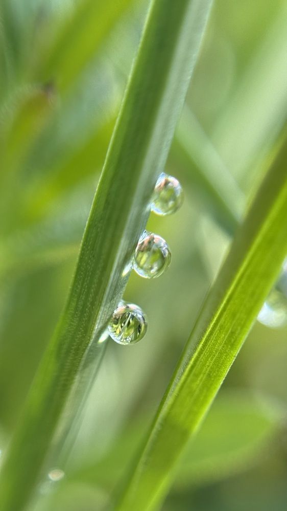 Photograph by Елена Гущина