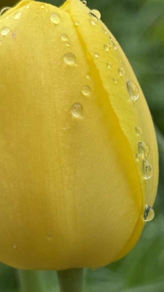 Photograph by Елена Гущина