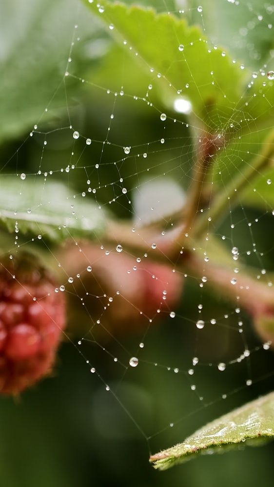 Photograph by Елена Кадаева