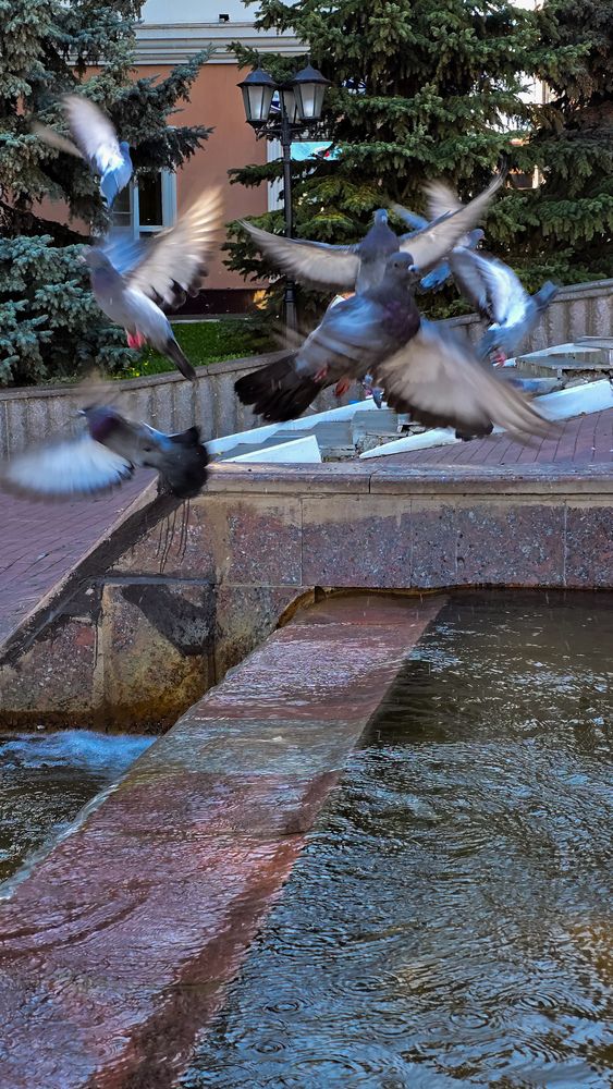 Photograph by Елена Сиушова