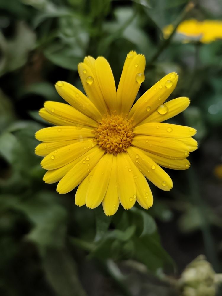 Photograph by Людмила Щуцкая