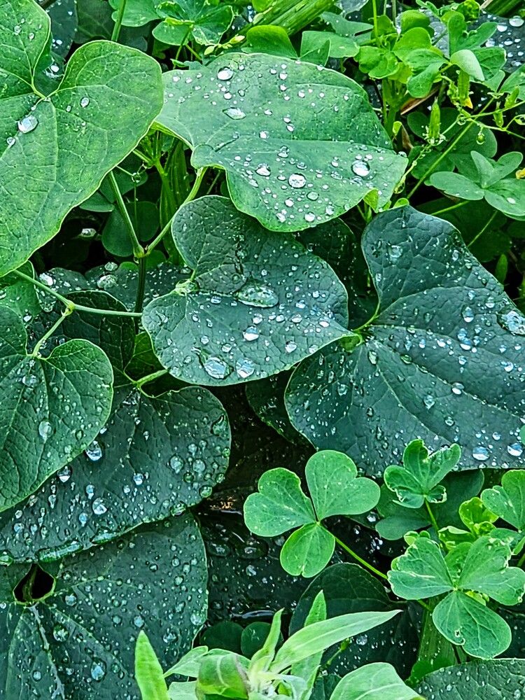 Photograph by Людмила Локтионова