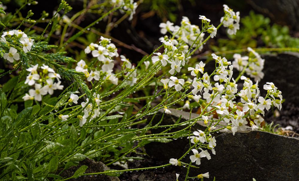 Photograph by Ольга Дерябина