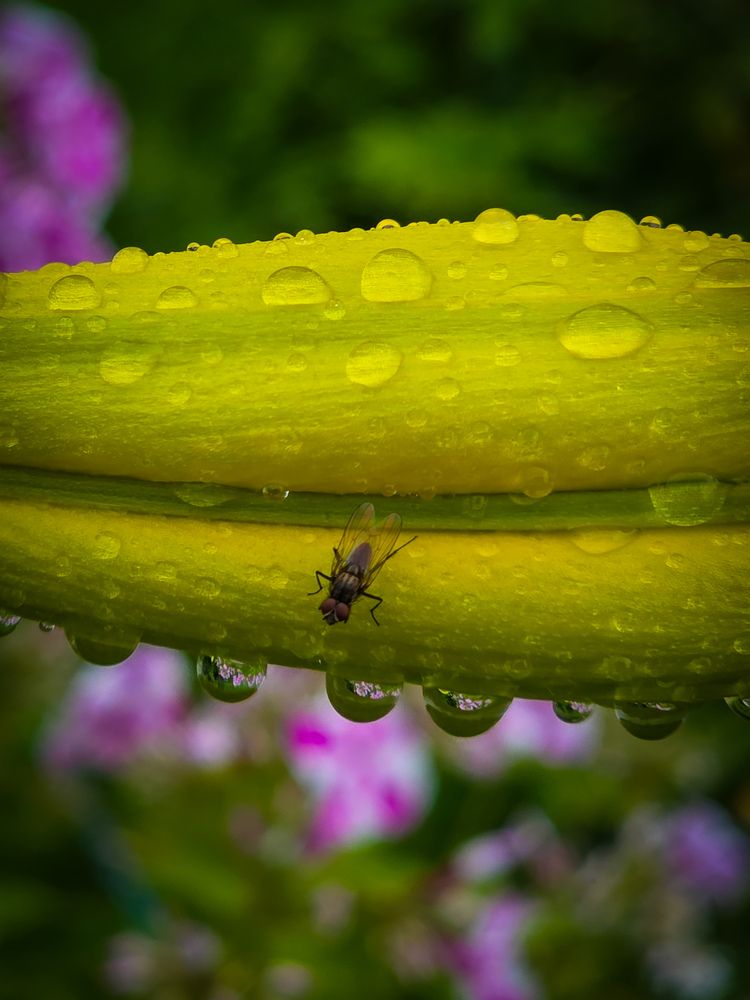 Photograph by Andrey Purtov