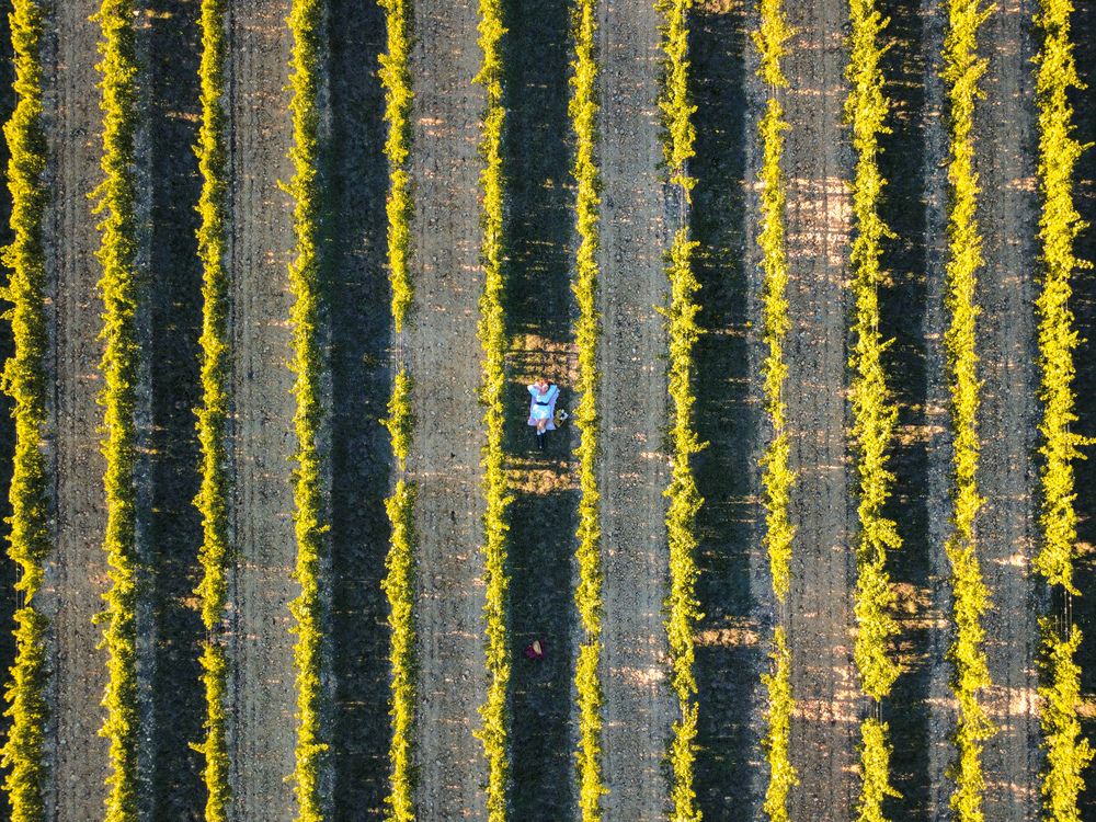 Photograph by Iuliia LIPIAINEN