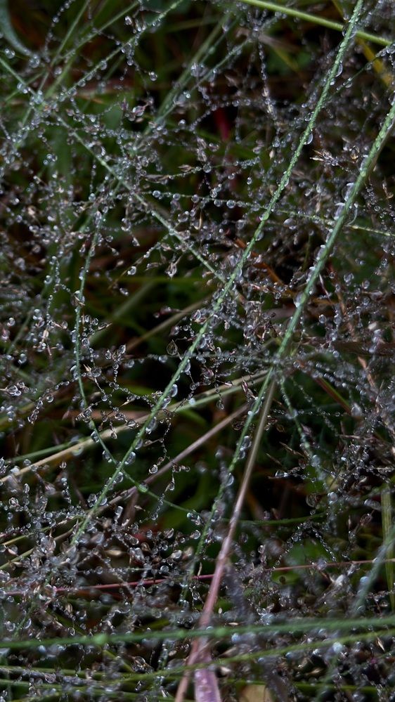 Photograph by Наталья Иванова