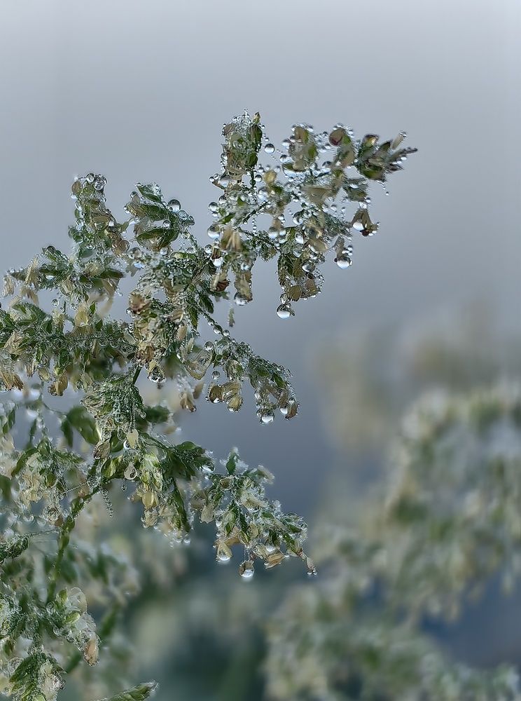 Photograph by Гульназ Шайхисламова