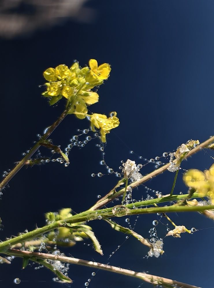 Photograph by Гульназ Шайхисламова