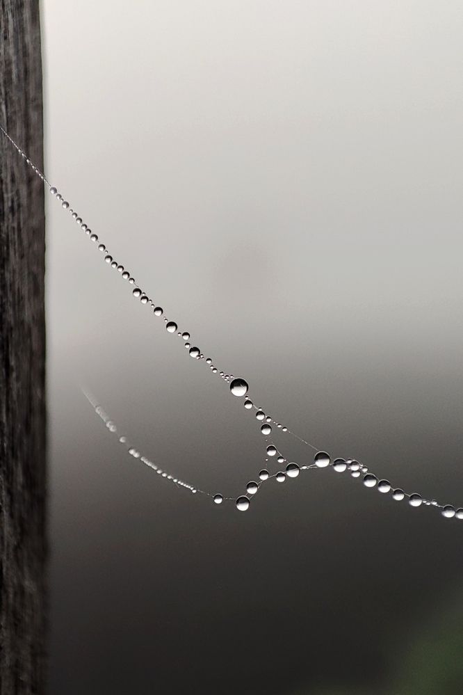 Photograph by Оксана Сандимирова