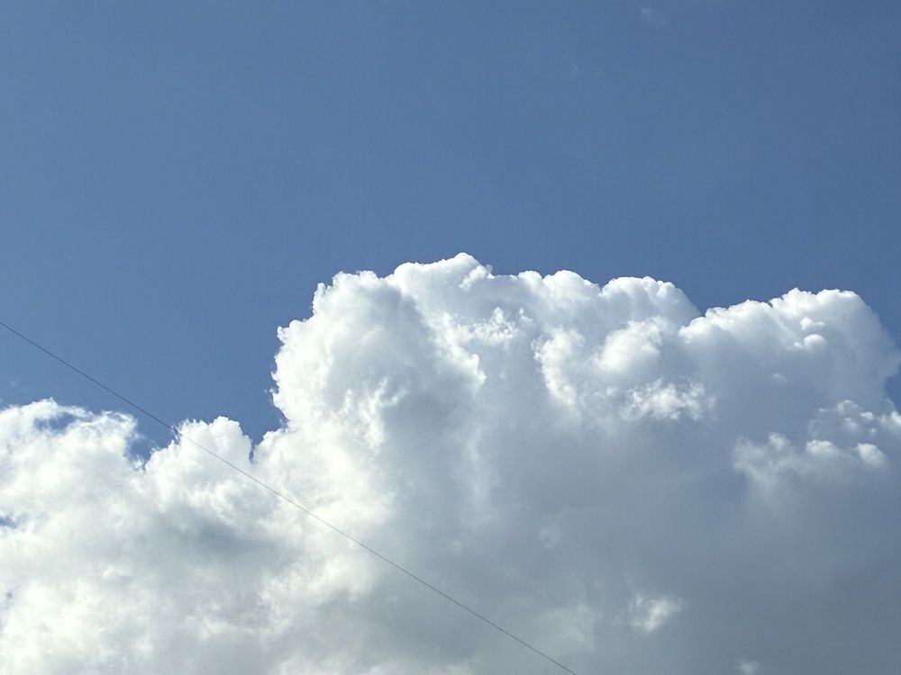 Photo #12580206