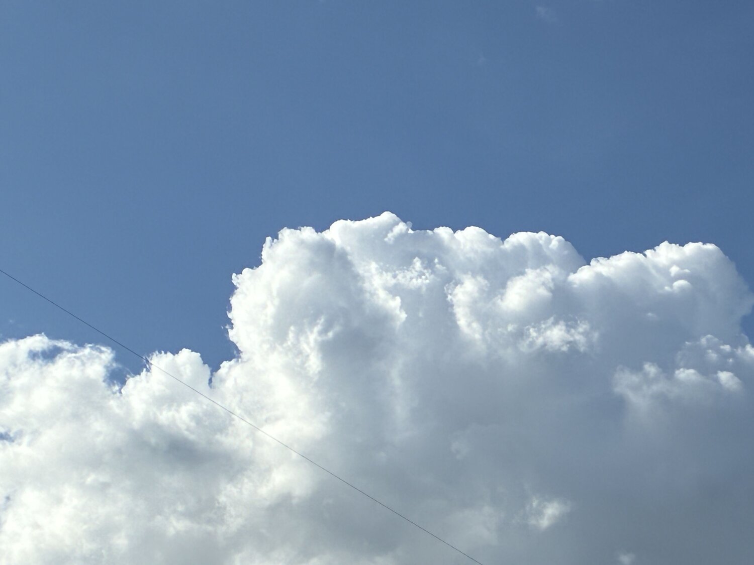 Photo #12580206