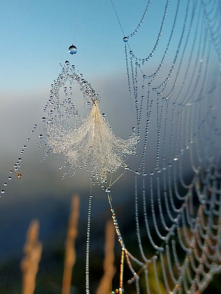 Photograph by Ольга Мартьянова