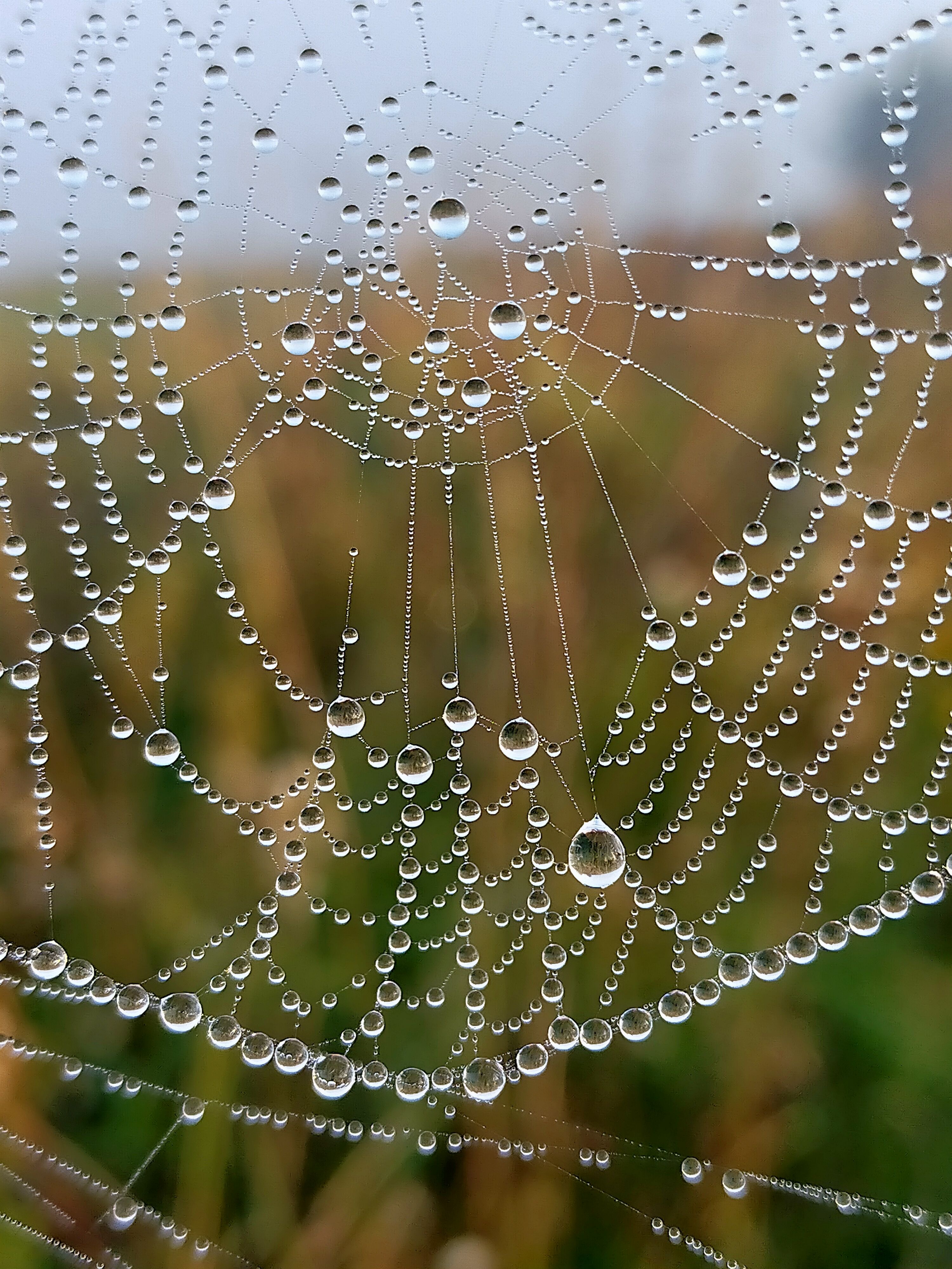 Photograph by Ольга Мартьянова