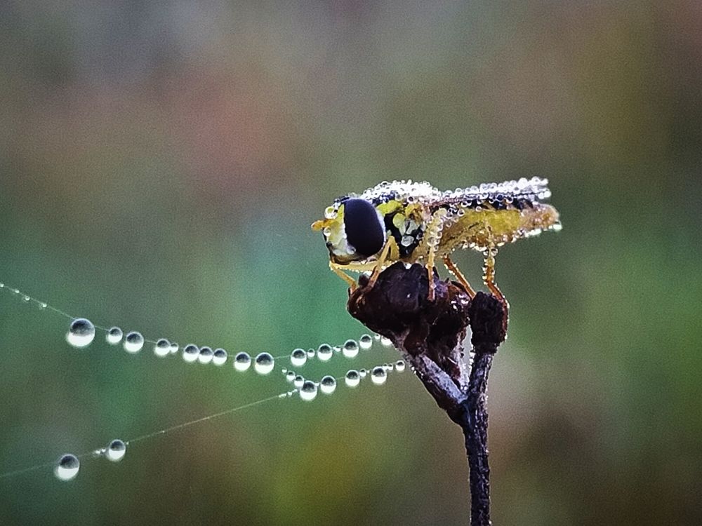 Photograph by Ольга Мартьянова