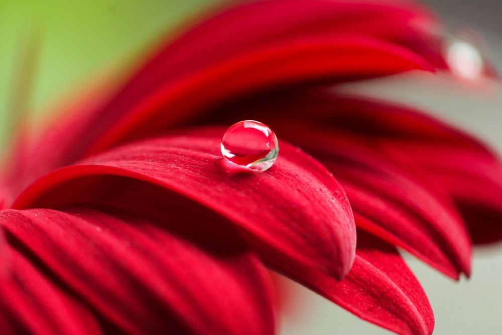 Photograph by rijanti purba