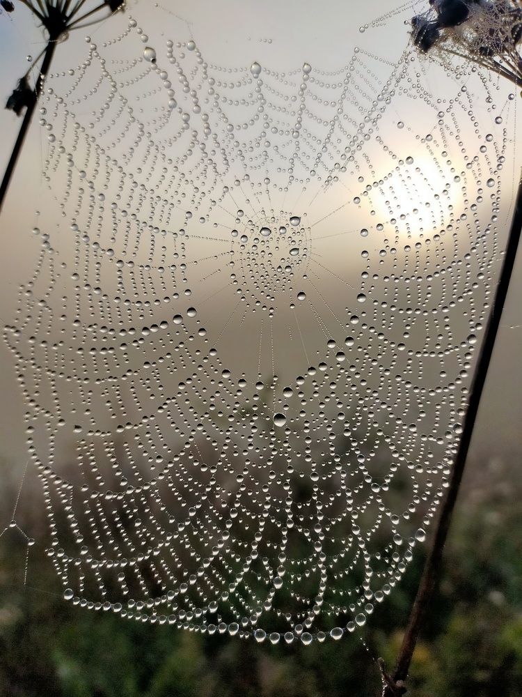 Photograph by Ольга Мартьянова