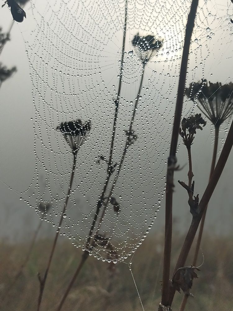 Photograph by Ольга Мартьянова