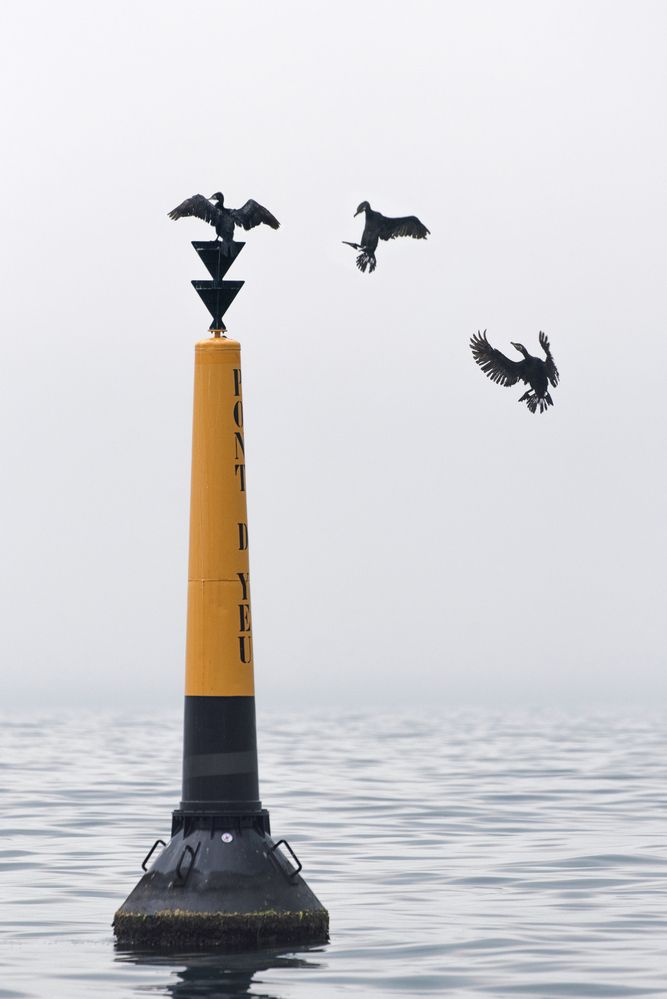 Photograph by Evgeniya Stafeeva